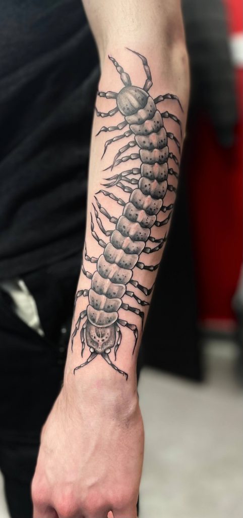 Tatouage de scorpion sur l'avant bras